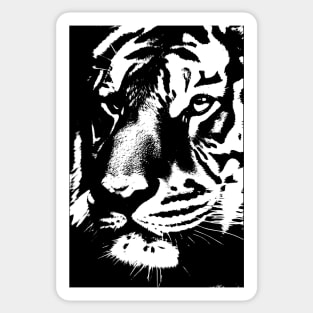 Tiger, fierceness, majesty, leadership, elegance. Sticker